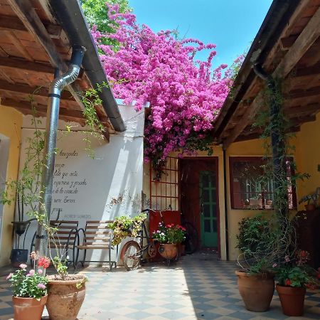 Alma De Proa Bed & Breakfast 圣安东尼奥德阿雷科 外观 照片