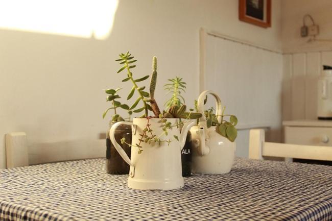Alma De Proa Bed & Breakfast 圣安东尼奥德阿雷科 外观 照片